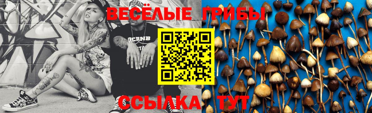 Псилоцибиновые грибы Psilocybe  Вход с VPN  Саранск  Псилоцибиновые грибы Cubensis 