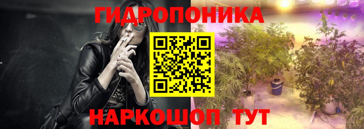 ГАШ Саранск